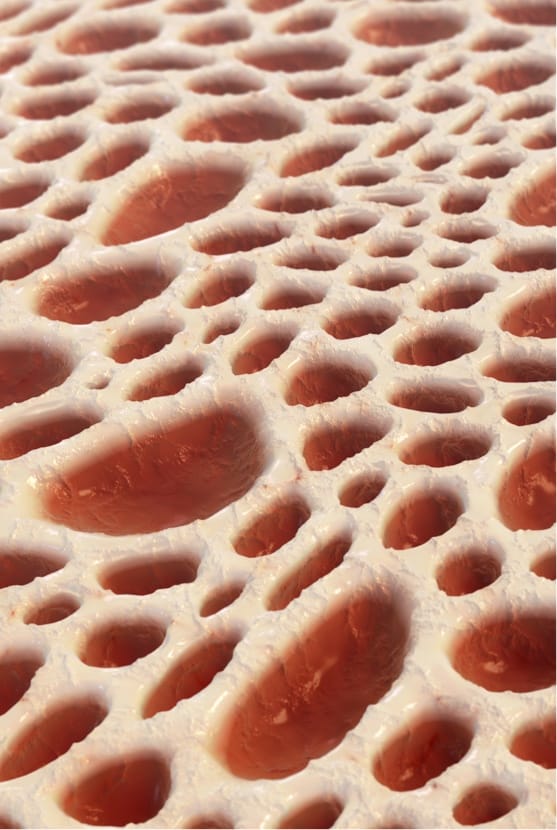 Bone tissue structure